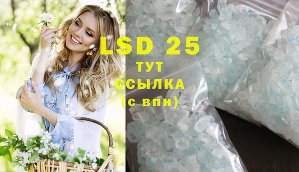 прущие грибы Белокуриха