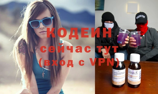 прущие грибы Белокуриха